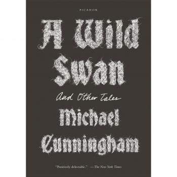 A Wild Swan: Illustrated Fairy Tales Collection