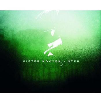 Vinilo LP Stem (180g + MP3)