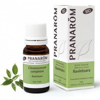 Aceite esencial de Ravintsara 10 ml - Pranarom