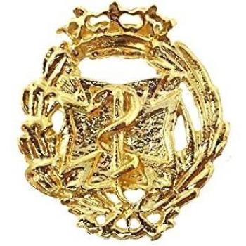 Inmaculada Romero IR Insignia Profesional Odontología Escudo Plata 925m Ley 17mm. Pin Chapado Oro Cierre
