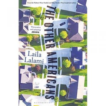 Los Otros Americanos - Novela Contemporánea de Drama y Realismo Social