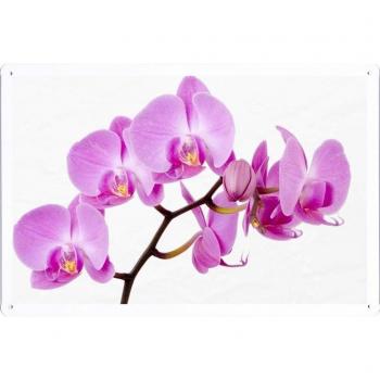 Metal cartel Cartel de chapa Hojalata sesión Flower Tin Sign Orchid Flower Twig Close-Up 35273 Retro Vintage Pared Decoración by hamgaacaan