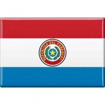 Imán de la bandera de los países Button • PARAGUAY • Aproximadamente 7,5 cm x 5,5 cm nuevo Gr,