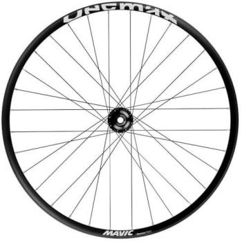 Rueda Delantera Mavic Deemax Park 29 BOOST Eje Pasante 15x110 mm 6 Agujeros