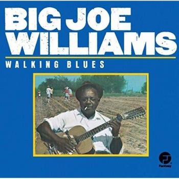 BIG JOE WILLIAMS/_WALKING BLUES