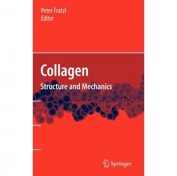 Collagen Structure and Mechanics by Springer-Verlag New York