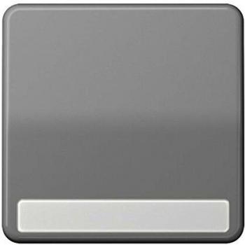 Tecla con regleta de inscripción gris 0712068100 JUNG