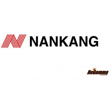 Nankang ICE ACTIVA SW-8 Neumático de Invierno con Clavos 195/65 R15 95T XL