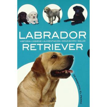Labrador Retriever: Historia, Higiene, Alimentación, Educación y Salud