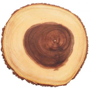 Tabla de Quesos de Madera Natural - 21 cm