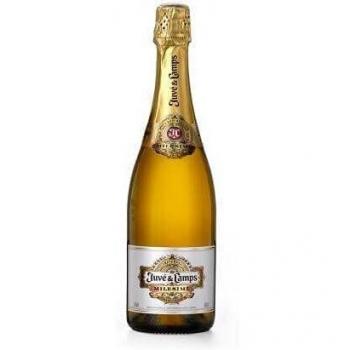 Juve & Camps Cava - 750 ml