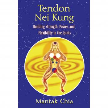 Tendon Nei Kung: Techniques for Building Strength and Power