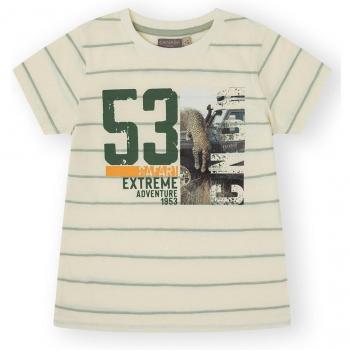 Camiseta de niño con patrón de rayas y dibujo frontal
