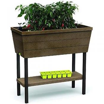Keter - Mini huerto en casa Urban Bloomer con base para cultivo, Color marrón