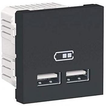 Schneider Electric Cargador Doble USB 2,1A Antracita NU341854