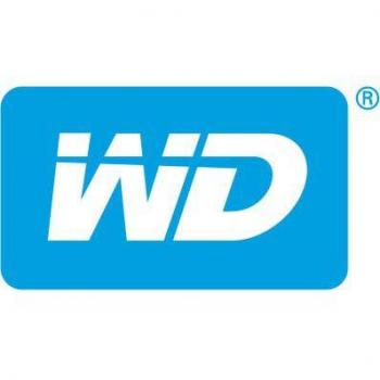 Disco Duro Interno WD Ultrastar DC HC555 20TB 7200RPM 512MB 3.5 SAS