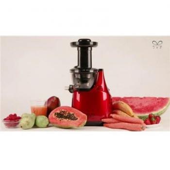 Licuadora Extractora de Zumo Lenta GM Acero Inoxidable 150W - Conserva Nutrientes y Vitaminas