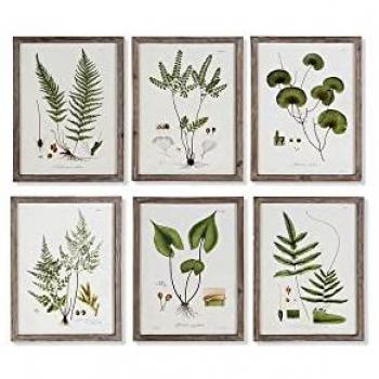 Cuadro Moderno de Flores y Plantas Botánicas DKD Home Decor (30 x 1,8 x 40 cm) - Set de 6 Unidades