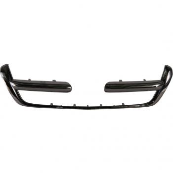 Listón embellecedor protector para panal de radiador BLIC 6502-07-2956991P