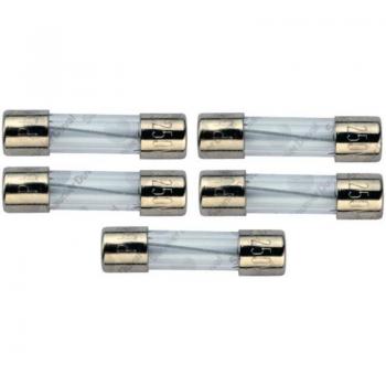 Fusible Saunier Duval para Todos los Modelos (5 Piezas)