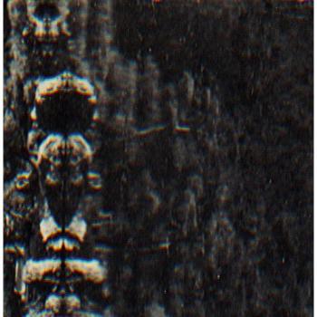 Forest: The People and the Spirits Experience