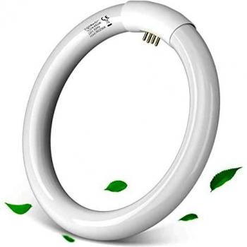 Aigostar - T9 Tubo de luz de anillo G10q， Ahorro de energía， 22w， luz fria 6500k， 220-240V