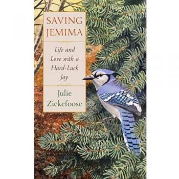 Saving Jemima