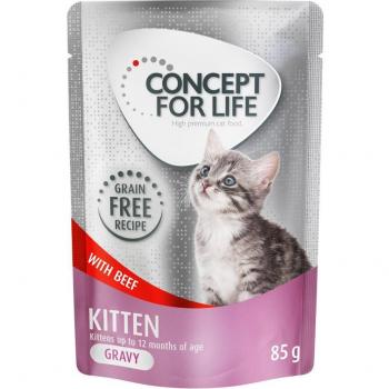Concept for Life Kitten Grain-Free with Beef in Gravy - 24 x 85 g