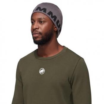 Gorro Mammut Logo Acero-Negro Talla Única
