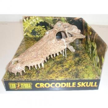 Refugio para reptiles Exo Terra, craneo de cocodrilo