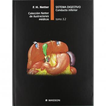 Sistema digestivo. Conducto inferior