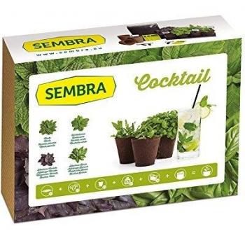 Sembra Cocktail - Kit de Cultivo
