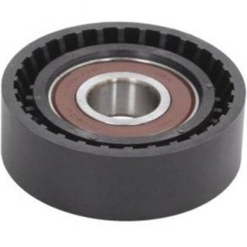Tensor de correa poli V BTA E2M0067BTA