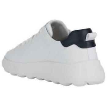 Zapatillas Geox Spherica EC4.1 Hombre Blanco Puro Negro 43