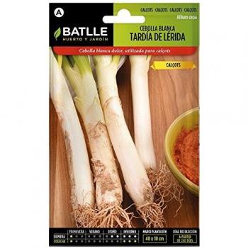 CALÇOTS-Cebolla bca. tardía Lerida