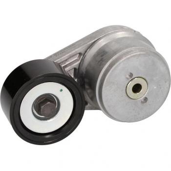 Tensor de correa poli V GATES T38644