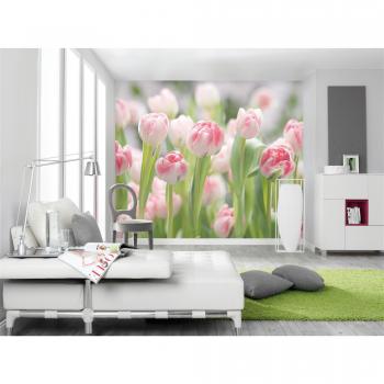 Komar 8 – 708 (368 x 254 cm), diseño floral, color secret garden – Tulip – Mural – Rosa (8 unidades)