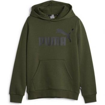 Puma Sudadera con Capucha Essentials Big Logo
