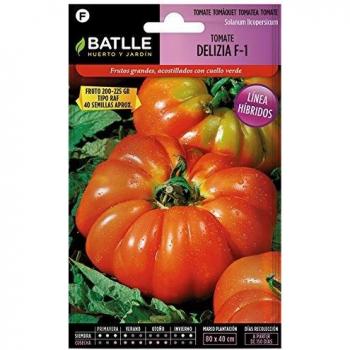 Tomate Delizia F-1