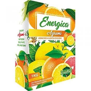 Abono Granular de Liberación Lenta Energía Cítrica 1 kg