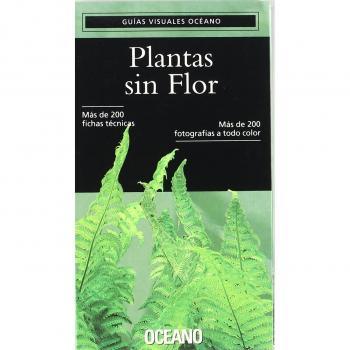 Plantas sin flor.