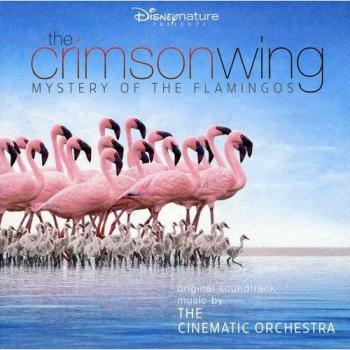 the crimson wing-mystery of the flamingos - Cinematic Orchestra