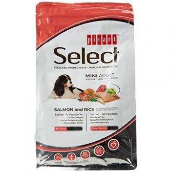 Select Mini Adult Salmon 800Gr