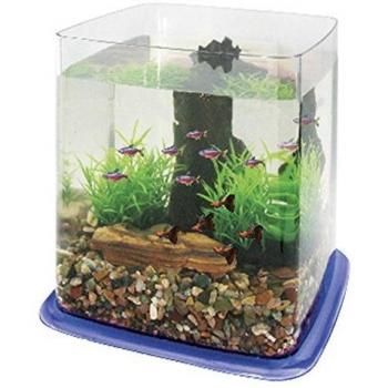 ICA PT073D Bettera Betta Battle Paradise, Azul