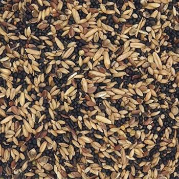 Versele-laga - Mixtura Canarios cria sin nabina Saco 22 kg