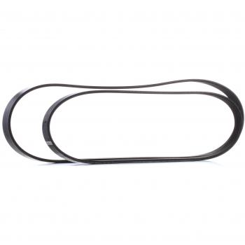Bosch Juego de correas auxiliares poli V para FORD Focus y C-Max (Ref: 1 987 946 196)