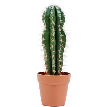 Cactus artificial Stetsonia Coryne 43 cm - Planta decorativa, diseño realista, altura de 43 cm, ideal para interiores y exteriores, fácil mantenimiento, resistente a la luz solar