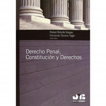 Derecho Penal, Constitución y Derechos.