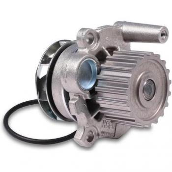 HEPU Water Pump P549