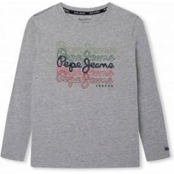 Camiseta Pepe Jeans Ramone Gris - Modelo PB503473_933